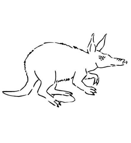 Aardvark From Africa From Aardvark Coloring Page